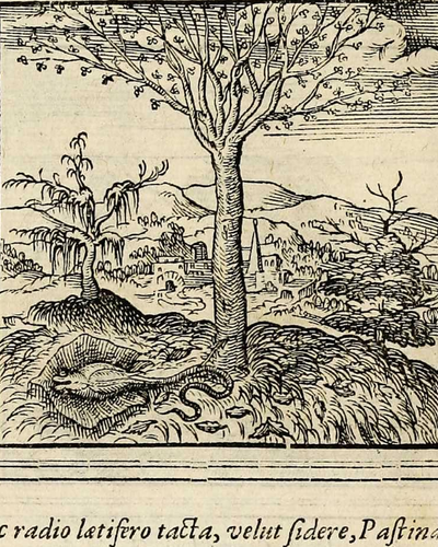 Thumbnail image for collection Northern European Emblem Books, 1550–1700